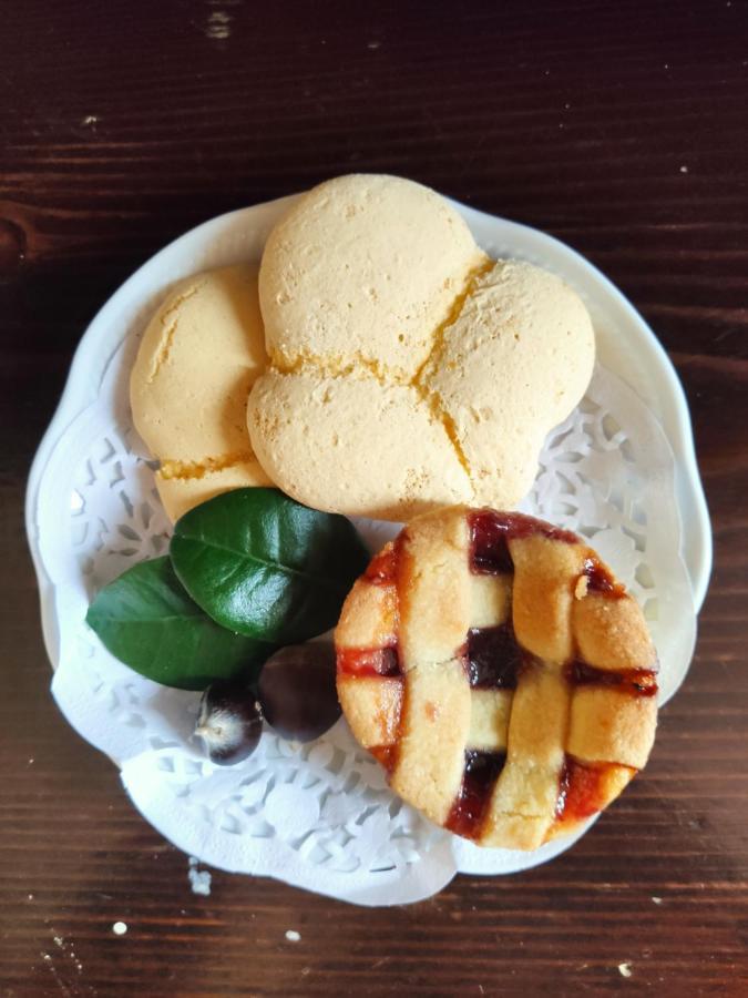 Dimora Marella Patrica - Frosinone酒店 外观 照片