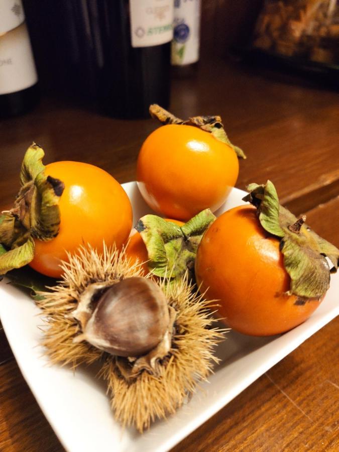 Dimora Marella Patrica - Frosinone酒店 外观 照片