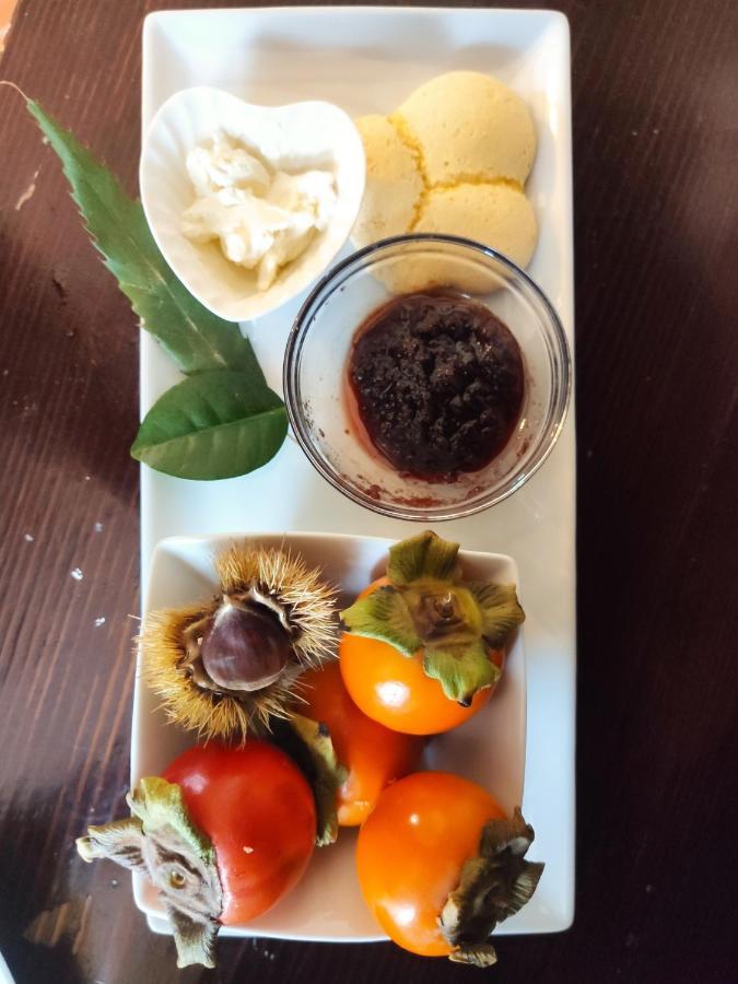 Dimora Marella Patrica - Frosinone酒店 外观 照片