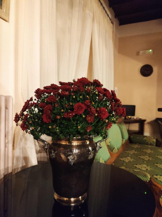 Dimora Marella Patrica - Frosinone酒店 外观 照片