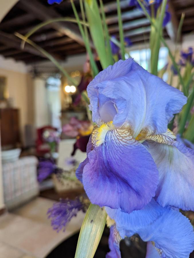 Dimora Marella Patrica - Frosinone酒店 外观 照片