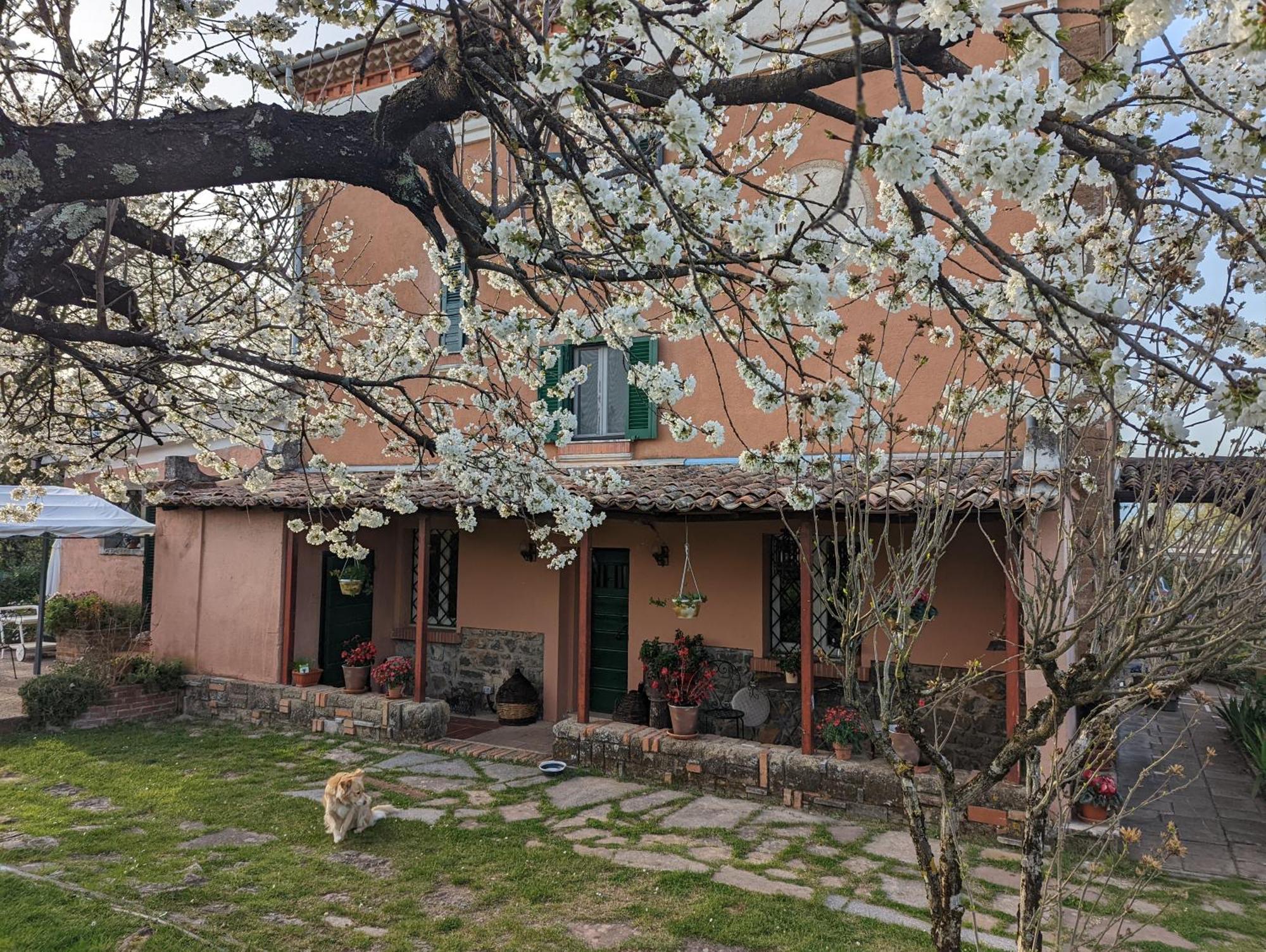 Dimora Marella Patrica - Frosinone酒店 外观 照片